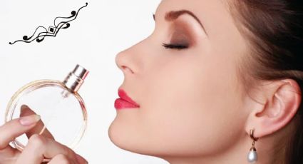 Los 5 mejores aromas de perfumes para usar en agosto 2024