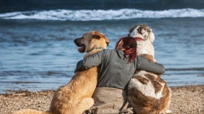 Lánzate con tu perro o gato al Amores de Garra Fest