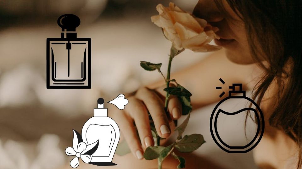 Conocer estas diferencias te permitirá seleccionar el perfume que mejor se adapte a tu estilo y necesidades, garantizando una experiencia olfativa única