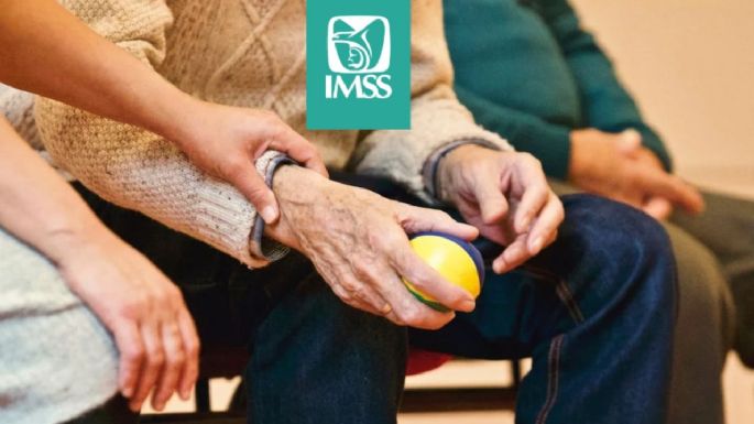 ¿De cuánto será la pensión mínima garantizada en noviembre 2025 si te jubilaste con IMSS?
