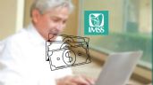 Foto ilustrativa de la nota titulada: ¿Cómo puedes recibir el pago de Noviembre de tu Pensión IMSS con un pago extra del 35 por ciento?