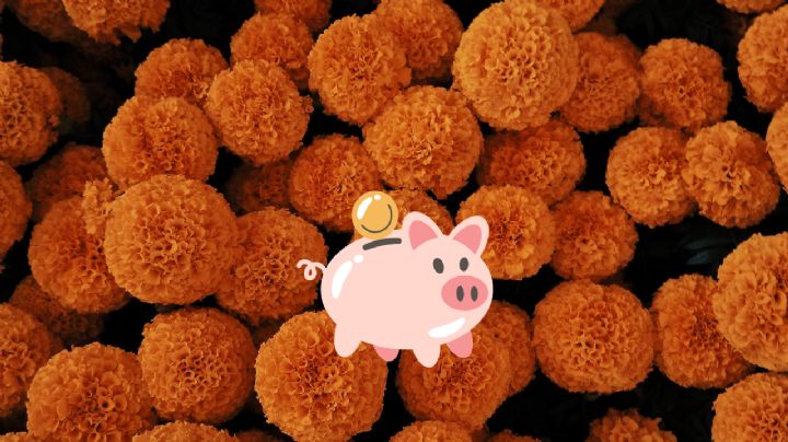 ¿Dónde comprar cempasúchil barato en CDMX? El mercado poco conocido que no es Jamaica ni Cuemanco