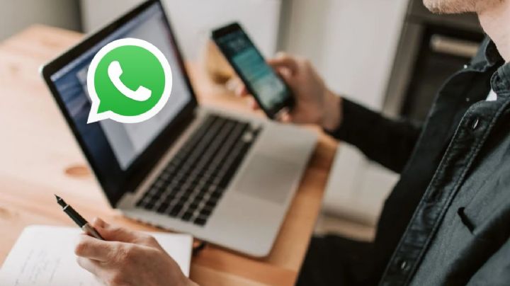 ¿Se puede desactivar Meta AI de tu cuenta de WhatsApp? Te decimos cómo hacerlo