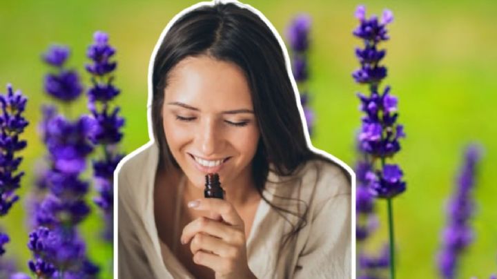 5 perfumes para mujer con violeta que transmiten un aroma único