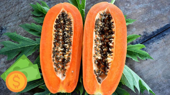 ¿Dónde comprar la papaya más cara y más barata en todo México? Profeco revela los precios