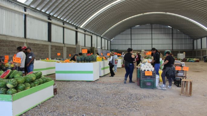 ¡LLEGÓ LA CALABRITYKA DE LA MEJOR!