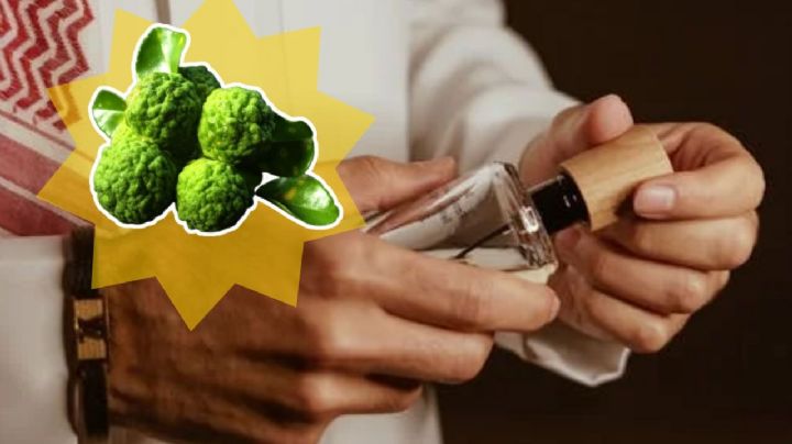 5 perfumes para hombre con olor a bergamota que evitarán que pases desapercibido