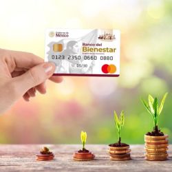 ¿Cómo puedes consultar el saldo de la Tarjeta de tu Pensión Bienestar sin salir de casa?