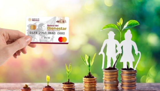 ¿Cómo puedes consultar el saldo de la Tarjeta de tu Pensión Bienestar sin salir de casa?