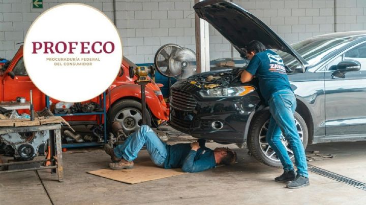 ¿Tienes un Volkswagen? Profeco alerta por llamado a revisión de más de 15 mil autos