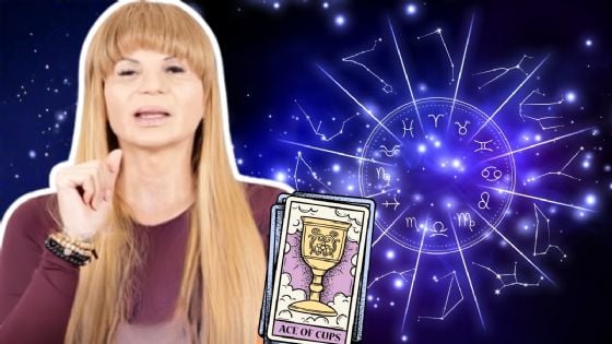 Cartas del Tarot de Mhoni Vidente: Conoce el mensaje astral para cada signo HOY 18 de diciembre