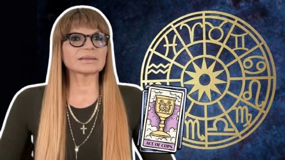 Cartas del Tarot de Mhoni Vidente: Conoce el mensaje astral para cada signo HOY 19 de diciembre