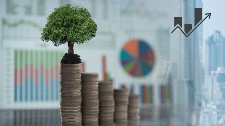 ¿Quieres que tu dinero crezca más que la inflación en 2026? Hazlo con instrumentos de inversion