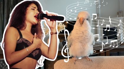 VIDEO: Loro impacta al cantar tema de Selena y se hace viral