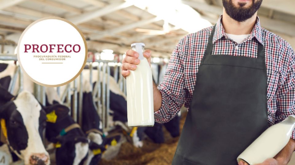 La marca de leche que no tiene aditivos y es recomendada por Profeco