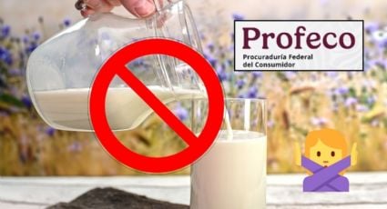 ¡Prohibidas por Profeco! Estas son las marcas de leche que no debes comprar ni consumir en 2025