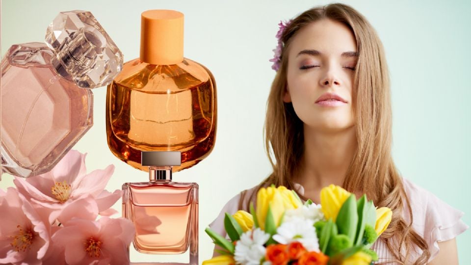 Estos perfumes destacarán tu presencia en cualquier lugar