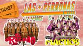 Foto ilustrativa de la nota titulada: Banda El Recodo y Banda Machos en el Auditorio Telmex: Lista de precios para su gira “Las Más Perronas: La Madre y La Reina”