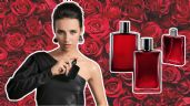 Foto ilustrativa de la nota titulada: Los mejores perfumes de mujer que huelen a rosas y son tendencia