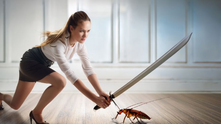 Paso a paso, así puedes liquidar las cucarachas de tu hogar para siempre