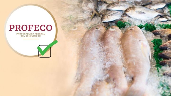 Estos son los productos que puedes consumir en la temporada de cuaresma, revela Profeco