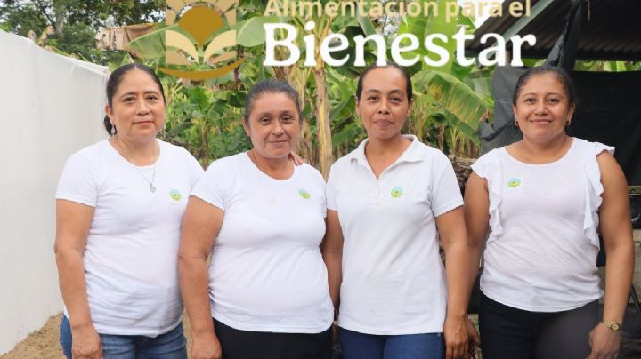 Alimentación para el bienestar: abren registro para despensas GRATIS en Edomex | Requisitos y fechas