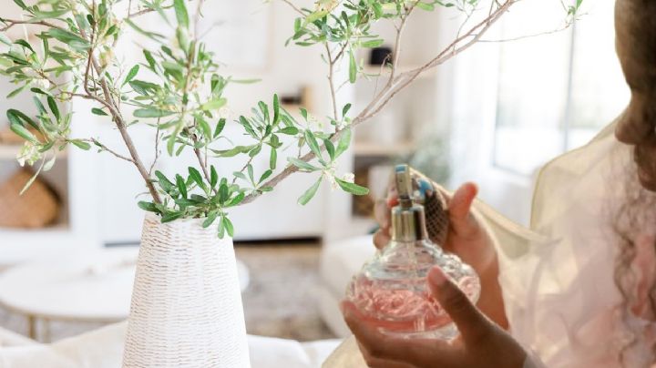 3 perfumes para usar en abril por sus aromas de primavera: frescos y florales