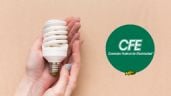 Foto ilustrativa de la nota titulada: CFE: Estos estados inician con el subsidio de luz a partir de mayo 2025