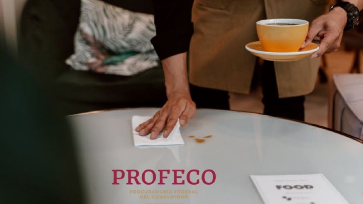 Estas son las mejores servilletas, según Profeco