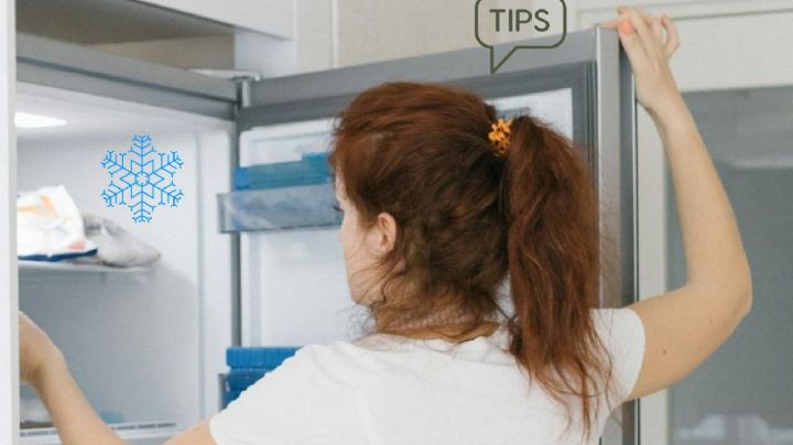 ¿Cómo descongelar tus alimentos de manera segura?