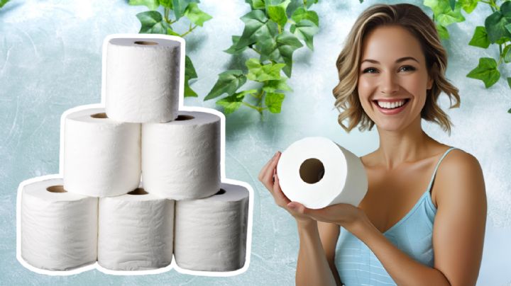 ¿Qué marca de papel de baño es mejor y más barata? Estas son las 3 más vendidas en México, según la IA