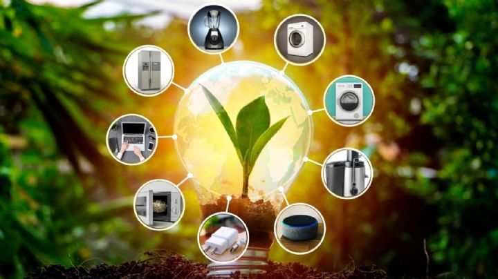 Así puedes reducir tu recibo de luz en temporada de calor, revela Profeco