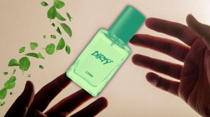 El perfume de hombre para oler fresco y limpio todo el día: ¡Cómo recién salido de la ducha!