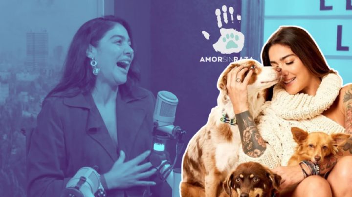 ¿Cómo nació “Amor Sin Raza”, un proyecto que cruza fronteras para salvar la vida de animales? 