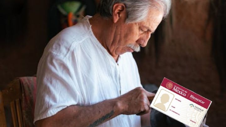 INAPAM: ¿Qué hago si se me perdió mi credencial?