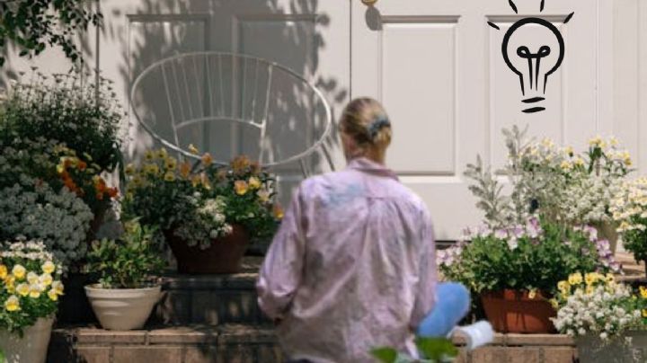 ¿Cómo decorar mi patio con macetas?
