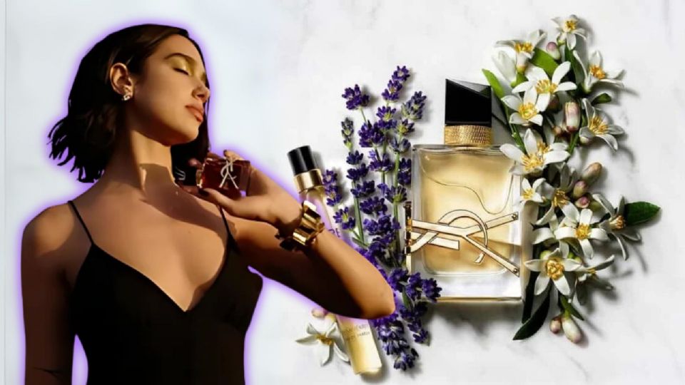 El dupe de Fraiche del famoso perfume Libre de Yves Saint Laurent
