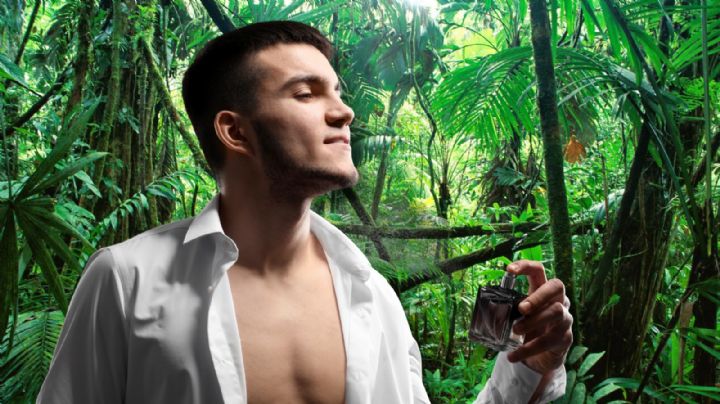 El perfume que huele a lujo y se produce en las selvas de Chiapas