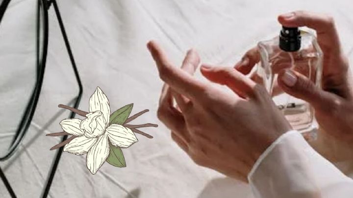 El perfume vainilla que es sinónimo de limpieza y tendencia en verano