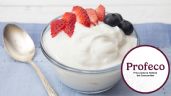 Foto ilustrativa de la nota titulada: La mejor marca de yogur griego por su calidad y cantidad de proteínas, según Profeco