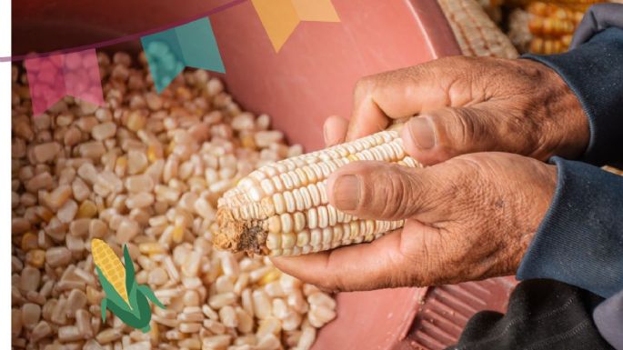 Feria del Maíz en Ixtlahuaca: estas son las actividades con música, sabor y tradición en Edomex