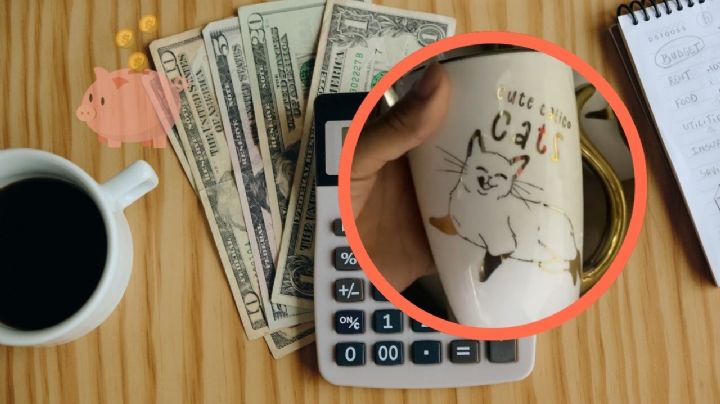 La bodega oculta en CDMX donde encontrarás tazas y platos desde 24 pesos