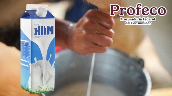 La leche económica que SÍ es leche de vaca y que recomienda Profeco por sus vitaminas