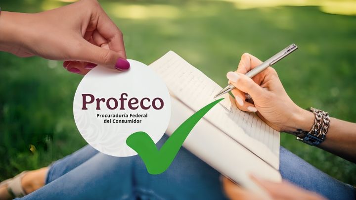 Estas son las mejores plumas para el regreso a clases, según Profeco