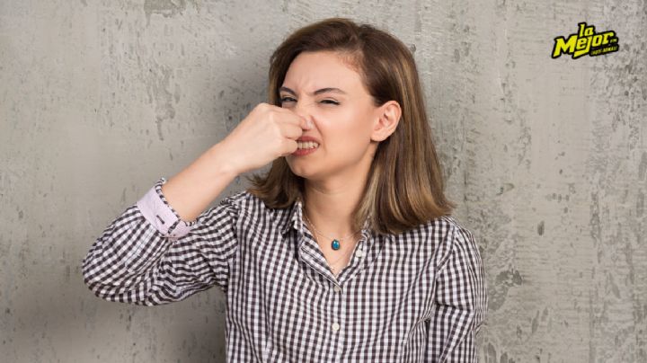 Dile adiós al olor a humedad con estos perfumes ideales para los días lluviosos