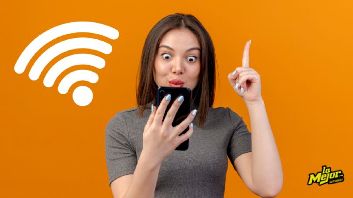 ¿Cómo contratar el internet de Starlink en México y qué precios tienen sus paquetes?