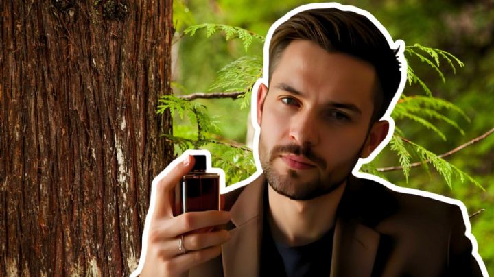 3 perfumes de hombre con aroma a madera de cedro, ideales para el otoño 2025