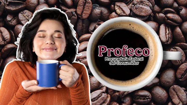 ¿Eres amante del café? Estas marcas solubles ofrecen la mejor calidad y precio, según Profeco