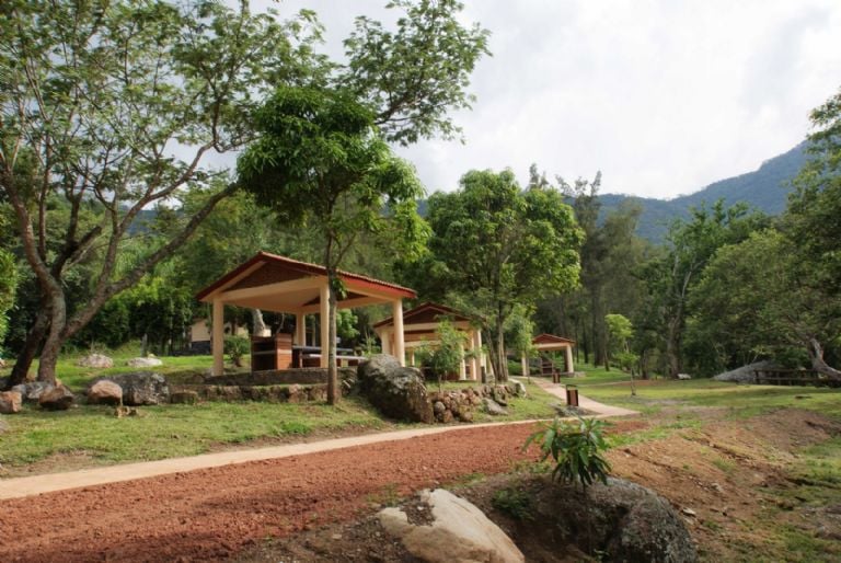 Actividades en el Parque Estatal San Sebastián Luvianos