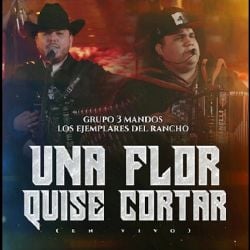 El desamor llegó con “Una flor quise cortar”